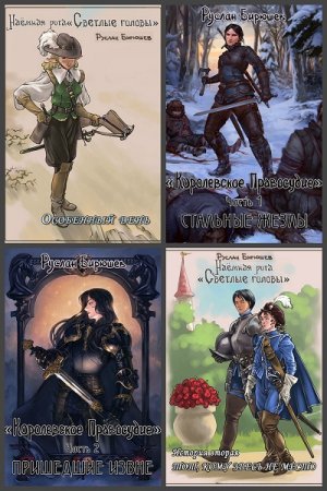 Постер к Руслан Бирюшев. Цикл книг - Наёмная рота «Светлые головы»